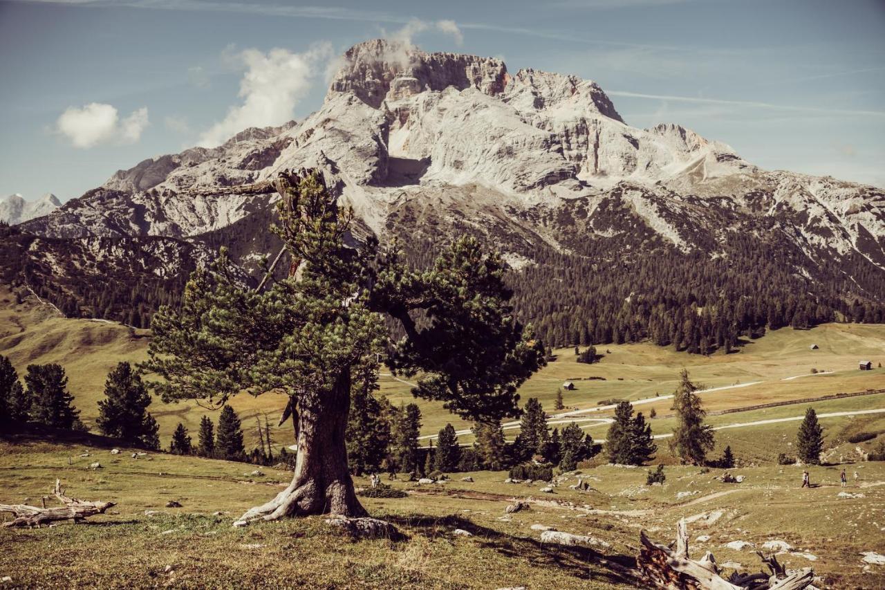 Garni Bergblick Hotel Braies  Luaran gambar